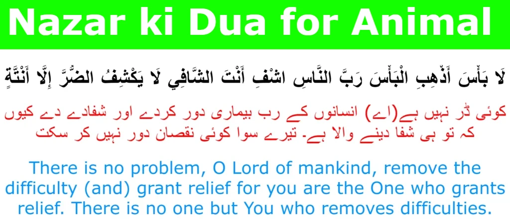 Nazar ki Dua for Animal